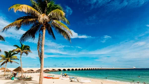 Dzibilchaltun + Progreso + Ancient City And Emerald Coast - Image 6
